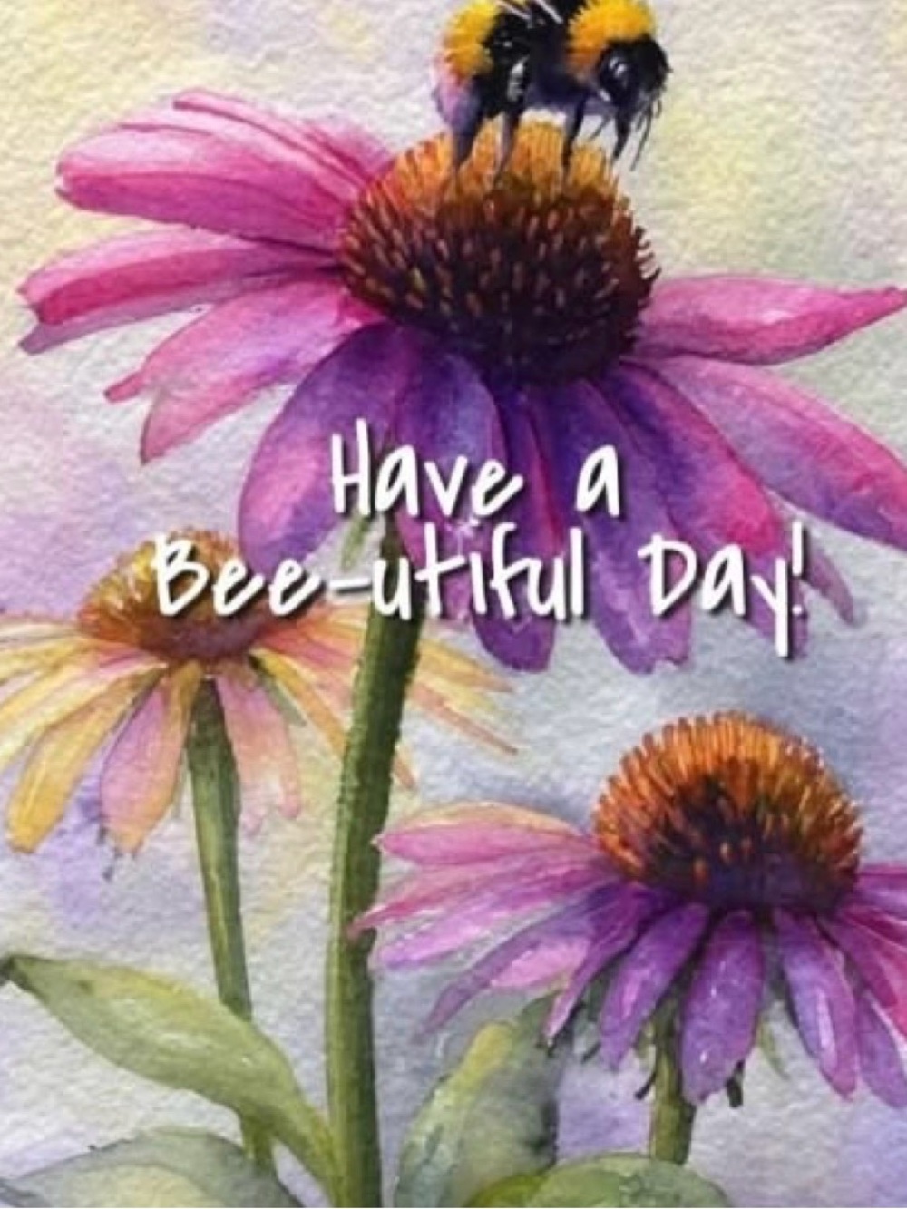 Source Unknown Pink and Purple Coneflower Thank You Card
